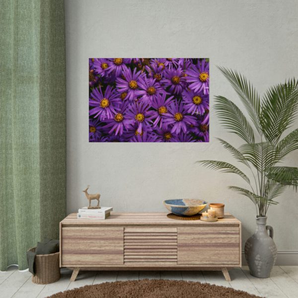 Purple Daisy Poster