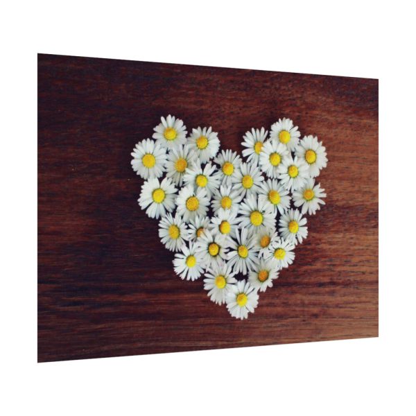 92408-359.jpg White Daisy in Heart Shape Poster