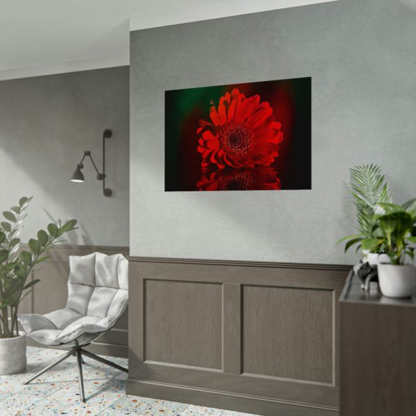 Red Daisy Poster