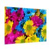 92408-369.jpg Colorful Daisies Poster