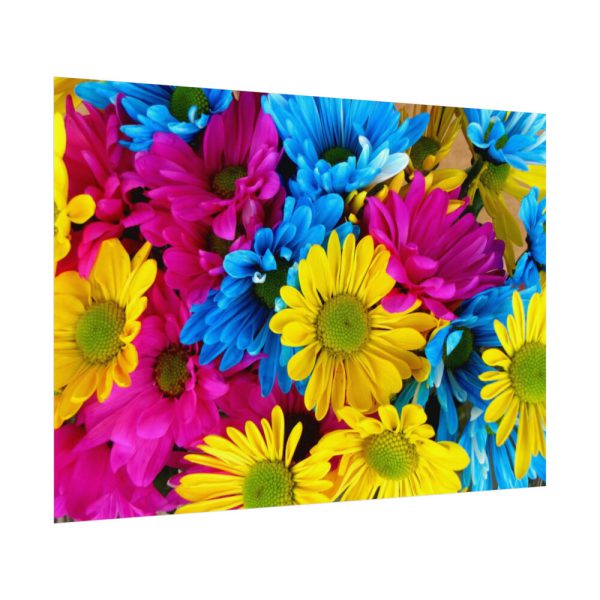 92408-369.jpg Colorful Daisies Poster