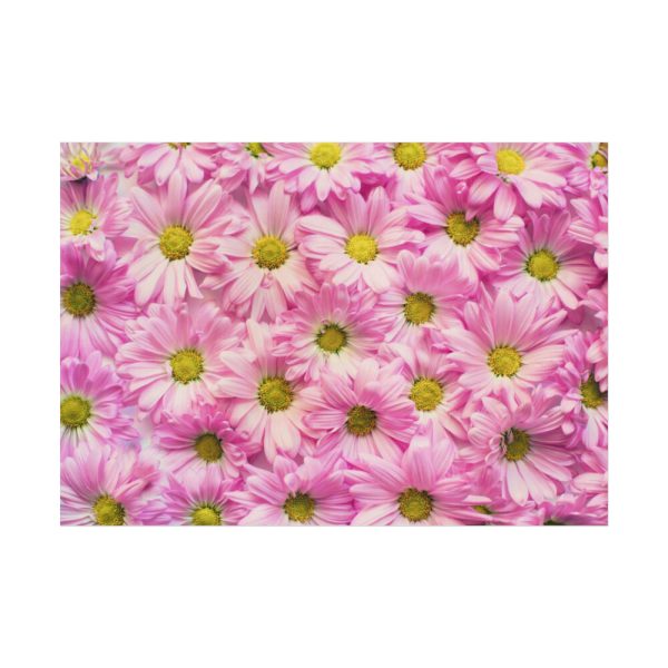 92408-372.jpg Pink Daisies Poster