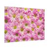 92408-374.jpg Pink Daisies Poster