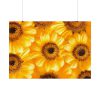 92408-378.jpg Yellow Daisies Poster