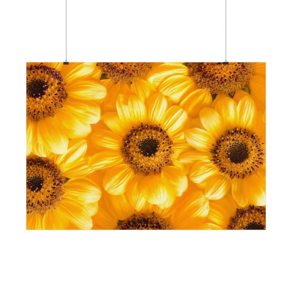 92408-378.jpg Yellow Daisies Poster