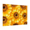 92408-379.jpg Yellow Daisies Poster