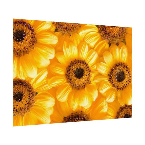 92408-379.jpg Yellow Daisies Poster