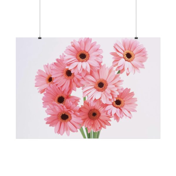 92408-388.jpg Pink Gerbera Daisies Poster