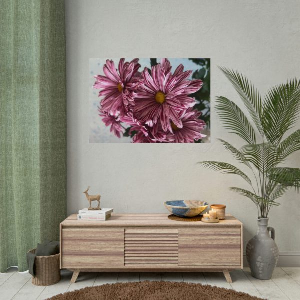 92408-395.jpg Pink-White Daisies Poster