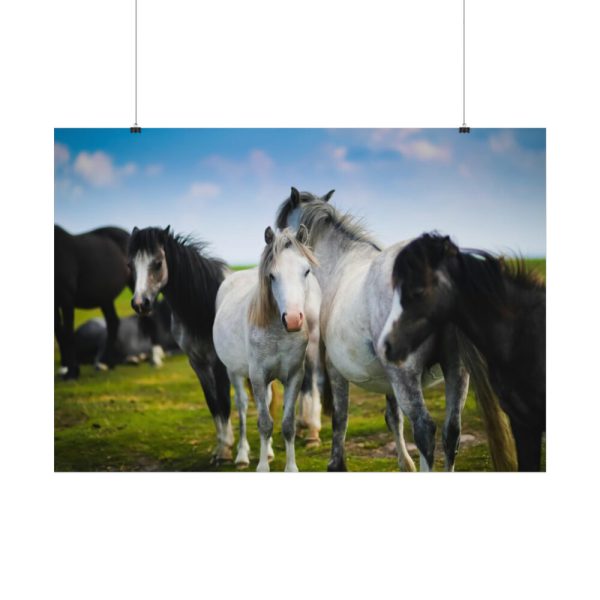 92408-398.jpg A Herd of Grey and White Horses Poster