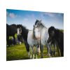 92408-399.jpg A Herd of Grey and White Horses Poster