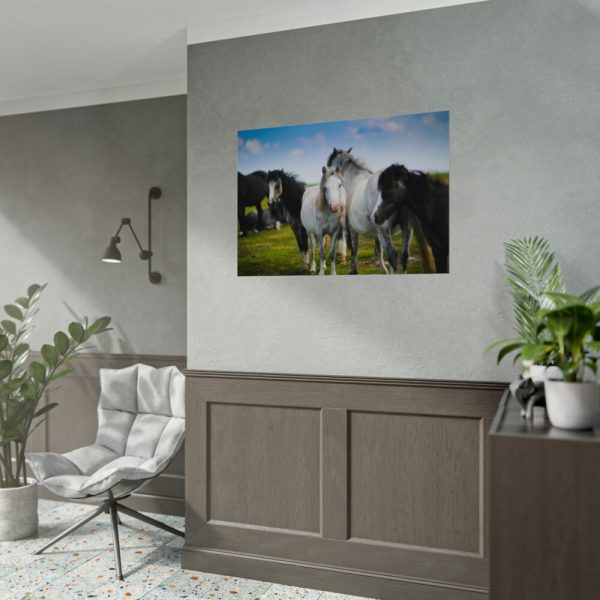 92408-401.jpg A Herd of Grey and White Horses Poster