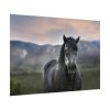 92408-404.jpg Gray Horse Poster