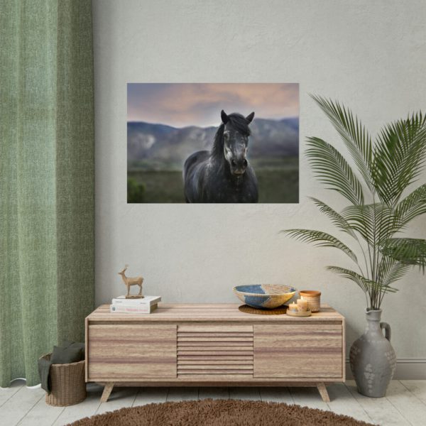 92408-405.jpg Gray Horse Poster
