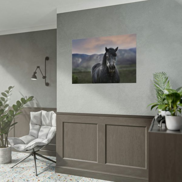 92408-406.jpg Gray Horse Poster