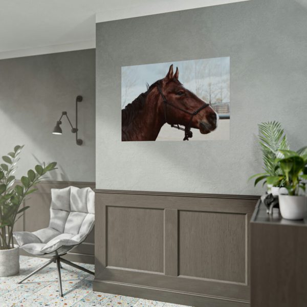 92408-411.jpg The Side of the Head of a Brown Horse Poster
