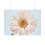 Closeup Daisy Poster - Image 2
