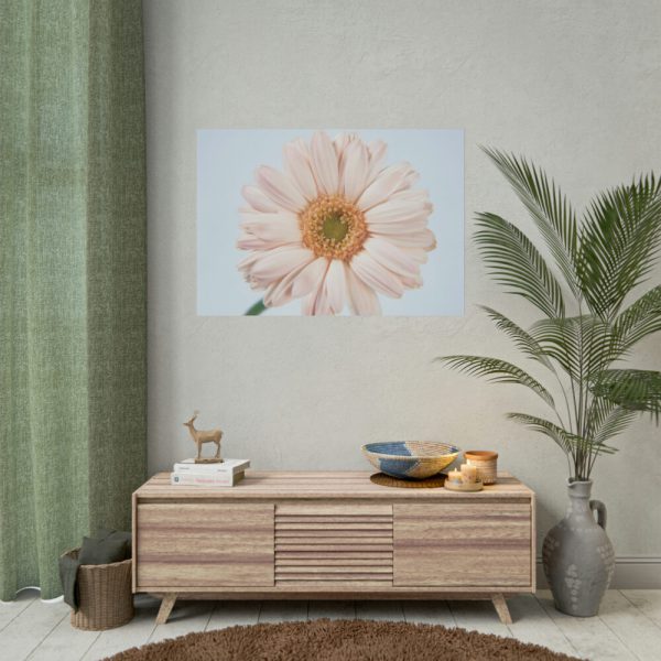 Closeup Daisy Poster