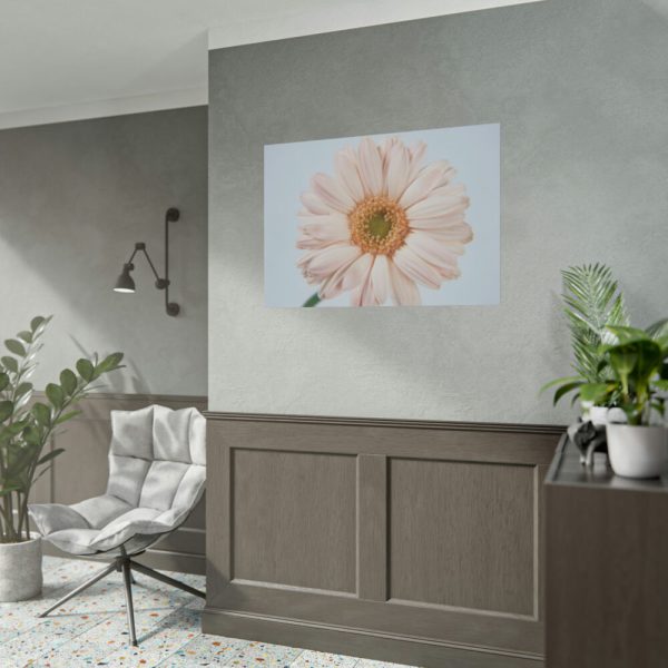 Closeup Daisy Poster