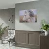 A Close-up of a Gray Horse Poster