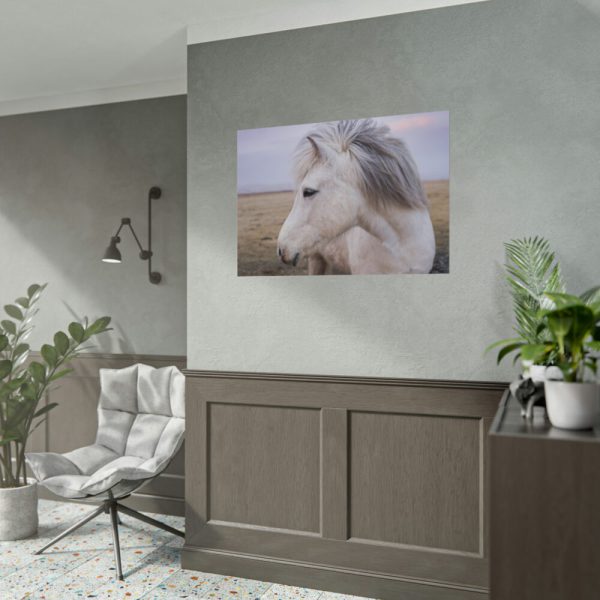 A Close-up of a Gray Horse Poster