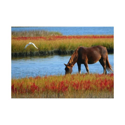 Horse Savanna Poster