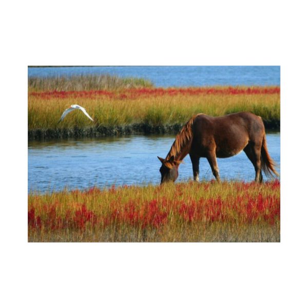 92408-427.jpg Horse Savanna Poster
