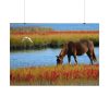 92408-428.jpg Horse Savanna Poster