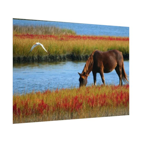 92408-429.jpg Horse Savanna Poster