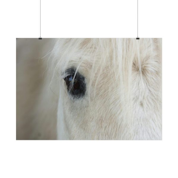 92408-433.jpg Half of a White Horse Face Poster