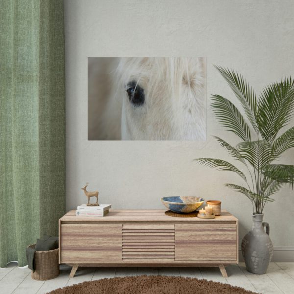 92408-435.jpg Half of a White Horse Face Poster