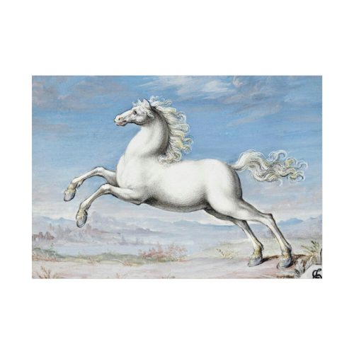 92408-437.jpg White horse Painting by Joris Hoefnagel Poster