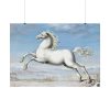 White horse Painting by Joris Hoefnagel Poster