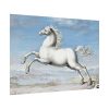 White horse Painting by Joris Hoefnagel Poster