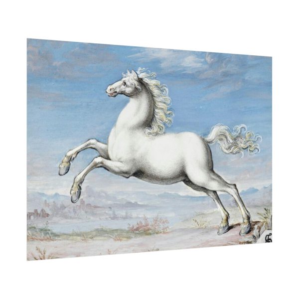 White horse Painting by Joris Hoefnagel Poster