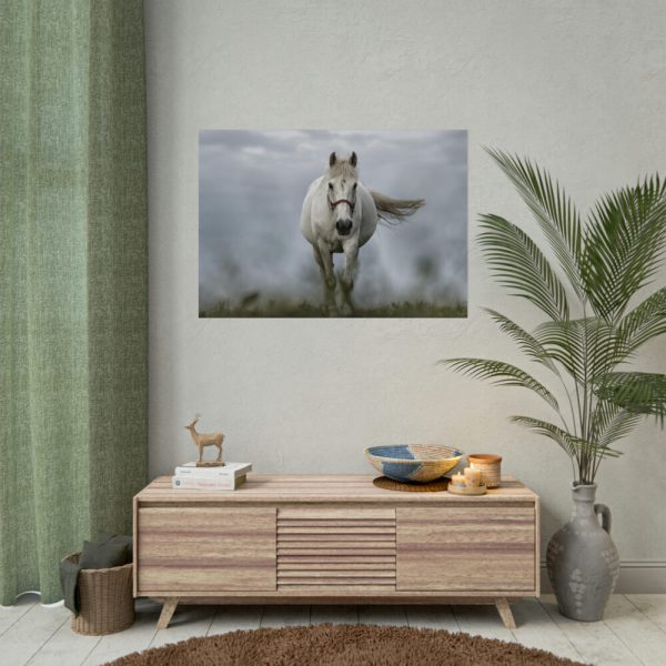 92408-445.jpg White Horse Galloping Poster