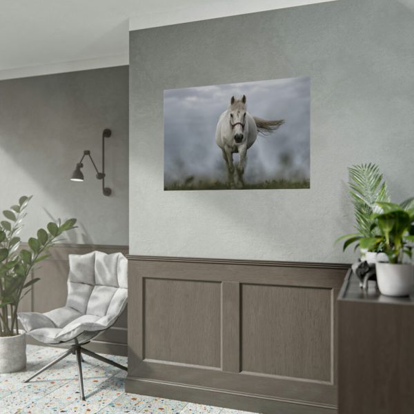 92408-446.jpg White Horse Galloping Poster