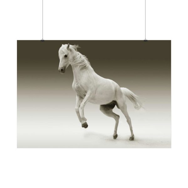 92408-448.jpg White Horse Poster