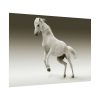 92408-449.jpg White Horse Poster