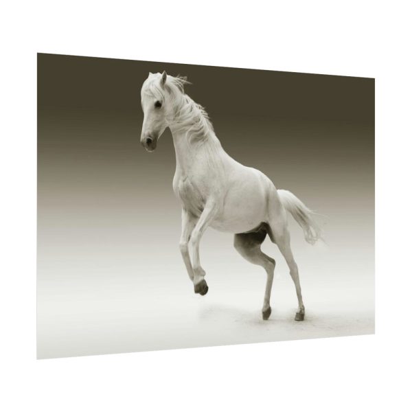 92408-449.jpg White Horse Poster