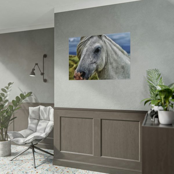 92408-456.jpg Closeup Shot of a White Horse Poster