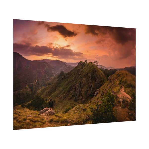 92408-459.jpg Nature Poster