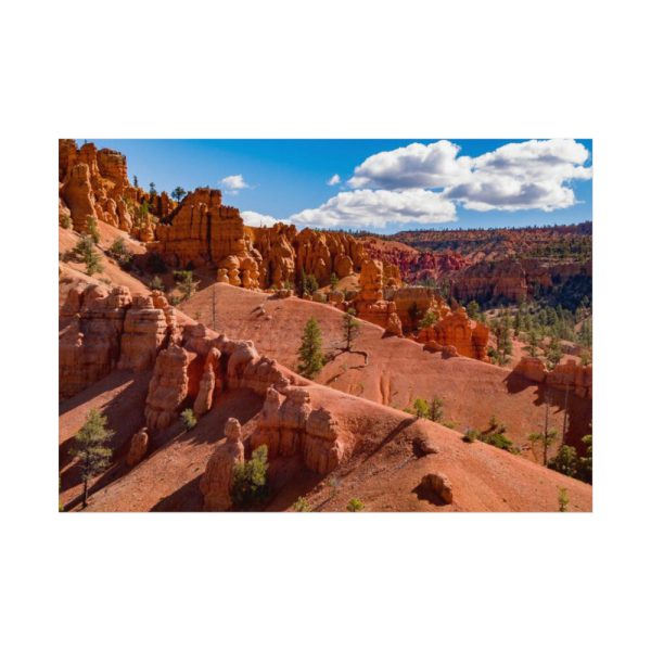 92408-467.jpg Dixie National Forest Poster