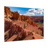 92408-469.jpg Dixie National Forest Poster