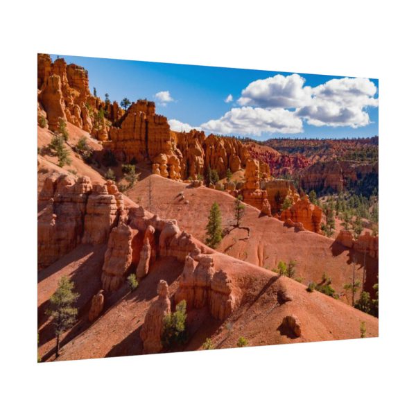 92408-469.jpg Dixie National Forest Poster