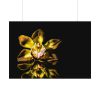 Bloom Orchid Poster