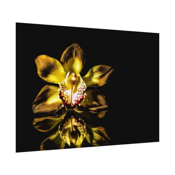 Bloom Orchid Poster