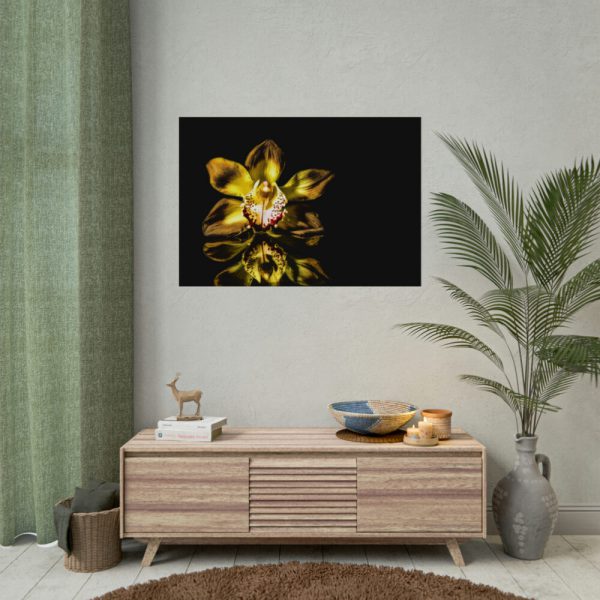 Bloom Orchid Poster