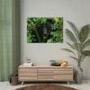 92408-505.jpg Black Bear in the Bush Poster