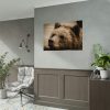 92408-531.jpg Brown Bear Snout Poster